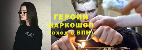 мдпв Инсар