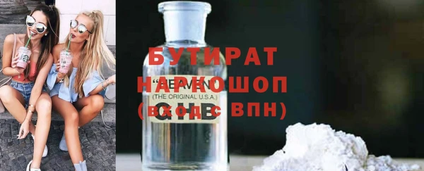 мдпв Инсар