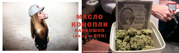 мдпв Инсар