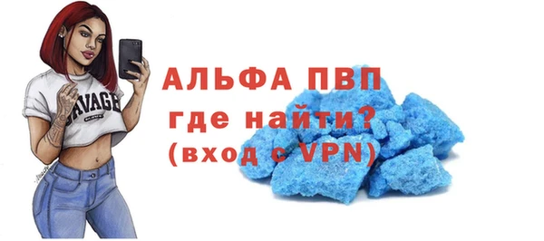 мдпв Инсар