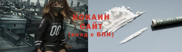 стафф Каменногорск