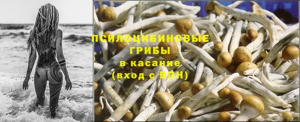 стафф Каменногорск