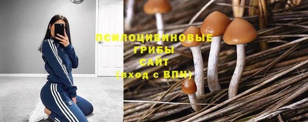 винт Каменск-Шахтинский