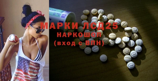 гашик Каменка
