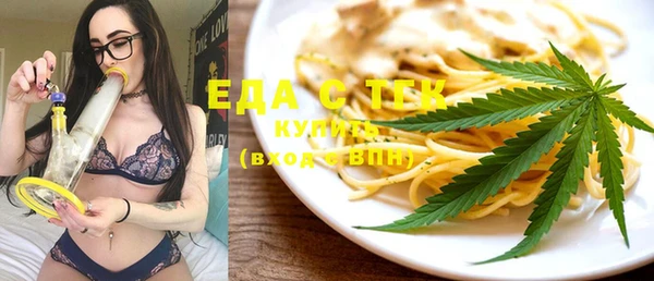 мдпв Инсар