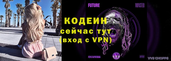 мдпв Инсар