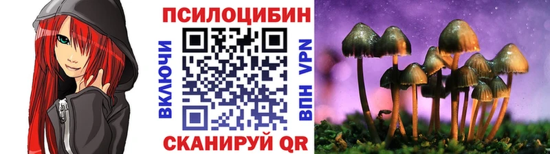 Галлюциногенные грибы мицелий Купить где Бобров